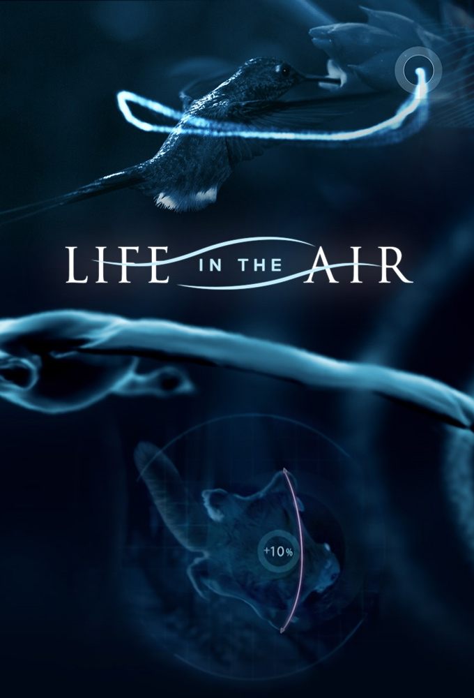 Постер Life in the Air